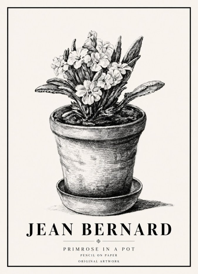 Jean Bernard Potted Primrose No6 - Poszter