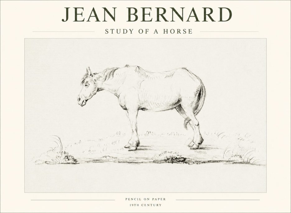 Jean Bernard Study of a Horse IX No1 - Poszter