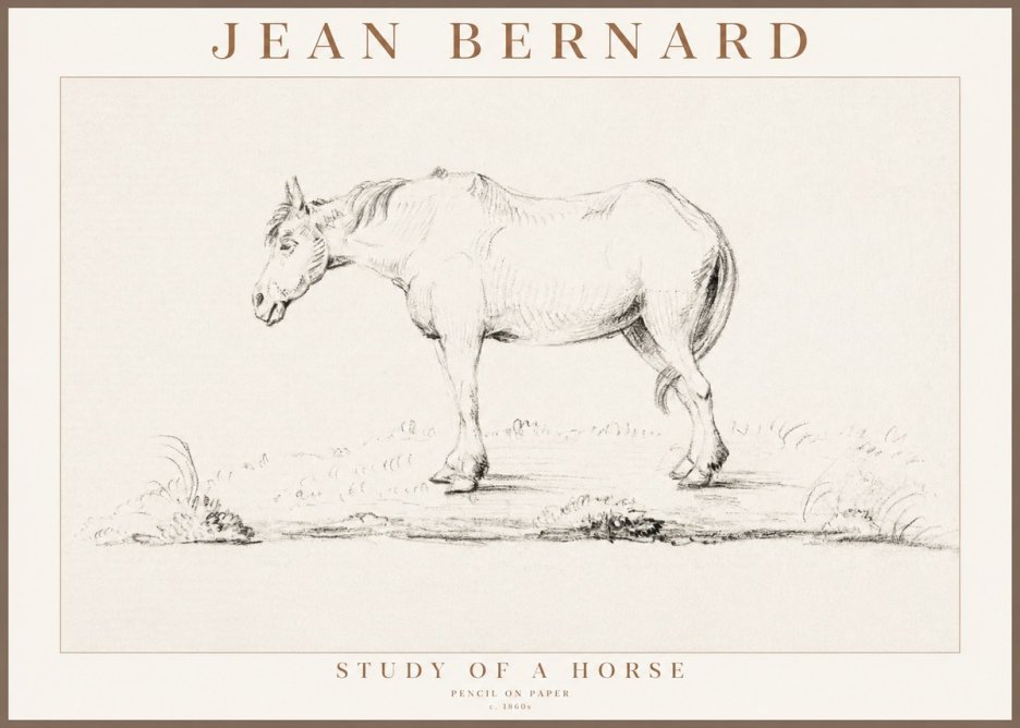 Jean Bernard Study of a Horse IX No3 - Poszter