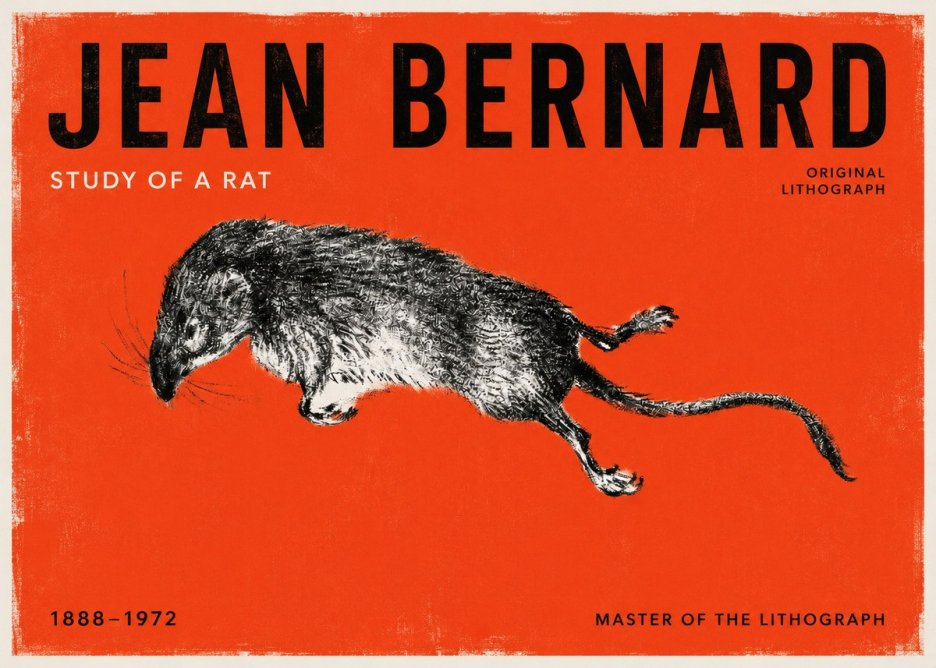 Jean Bernard Study of a Rat II No2 - Poszter