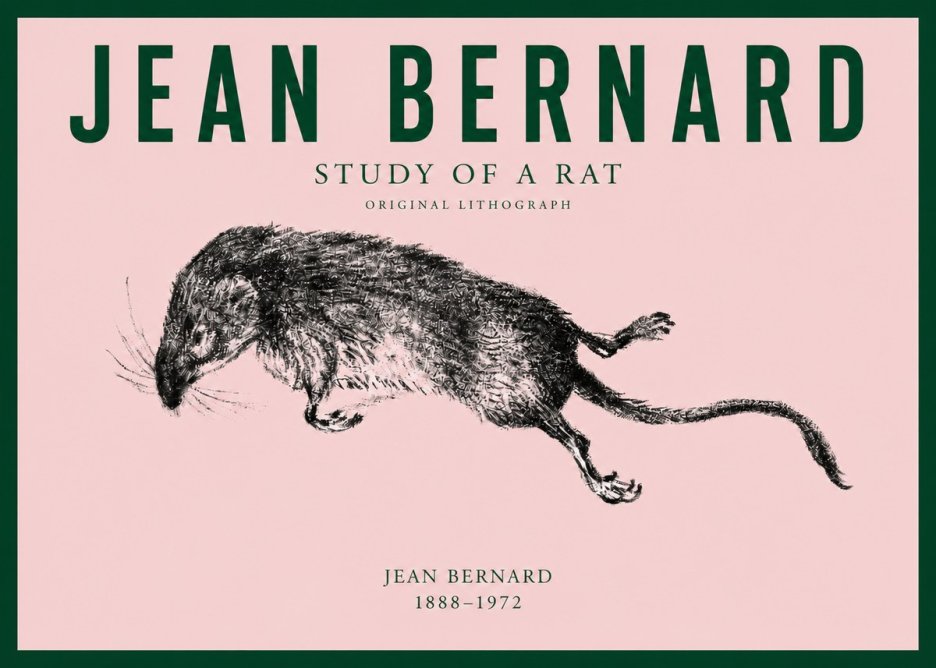 Jean Bernard Study of a Rat II No3 - Poszter