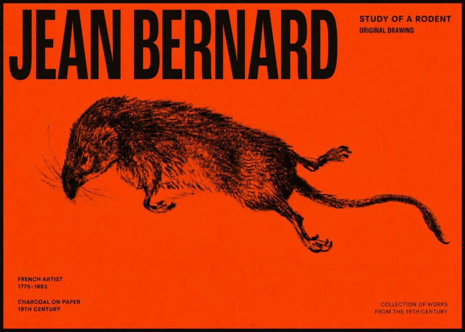 Jean Bernard Study of a Rat II No6 - Poszter