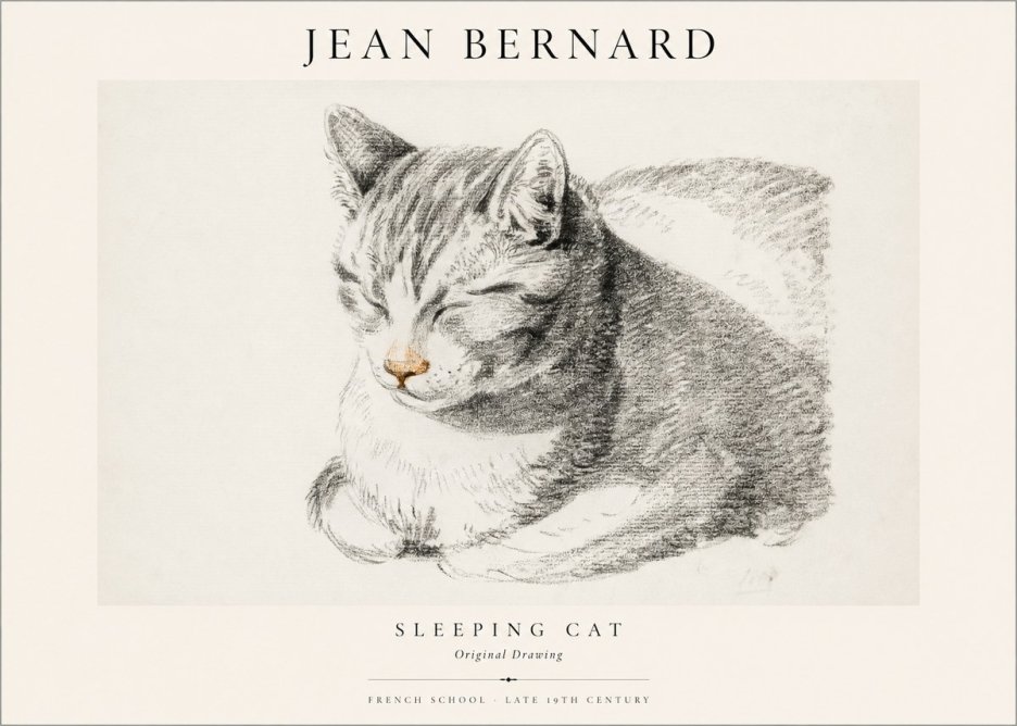 Jean Bernard Sleeping Cat VI No1 - Poszter
