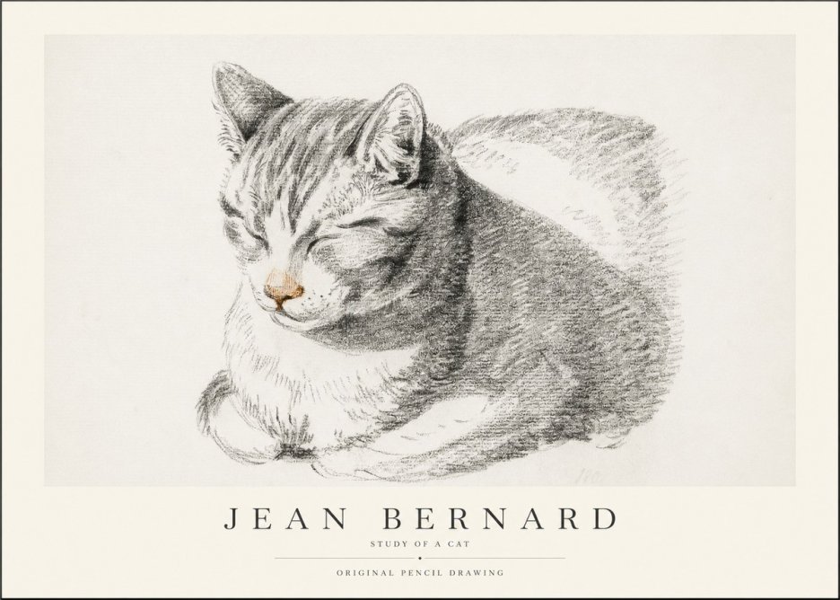 Jean Bernard Sleeping Cat VI No2 - Poszter