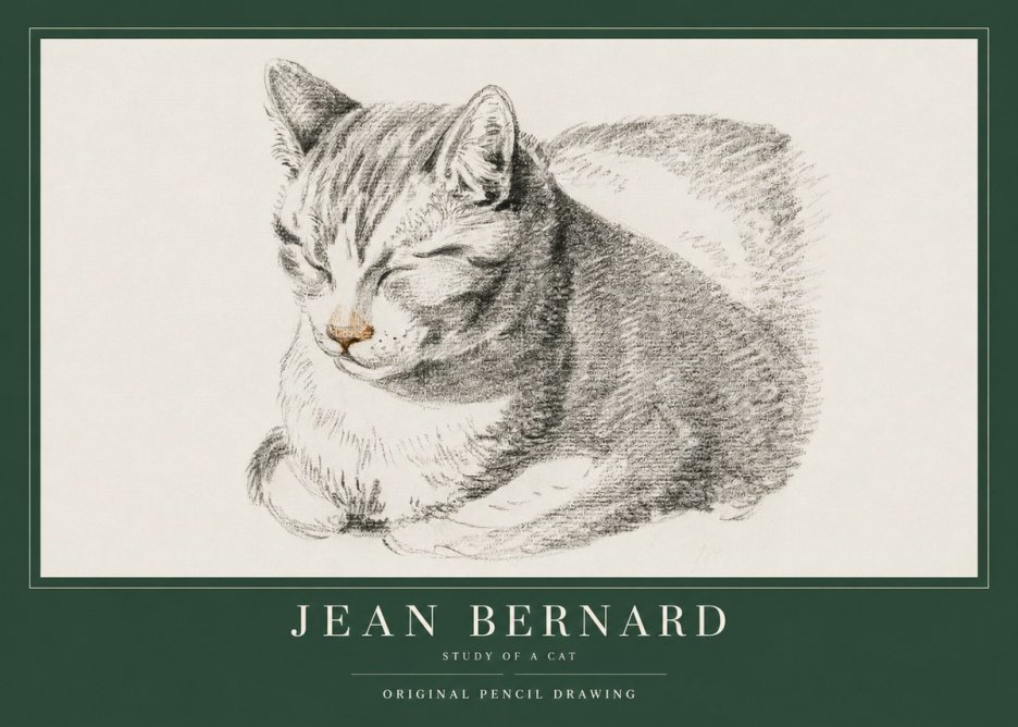 Jean Bernard Sleeping Cat VI No4 - Poszter