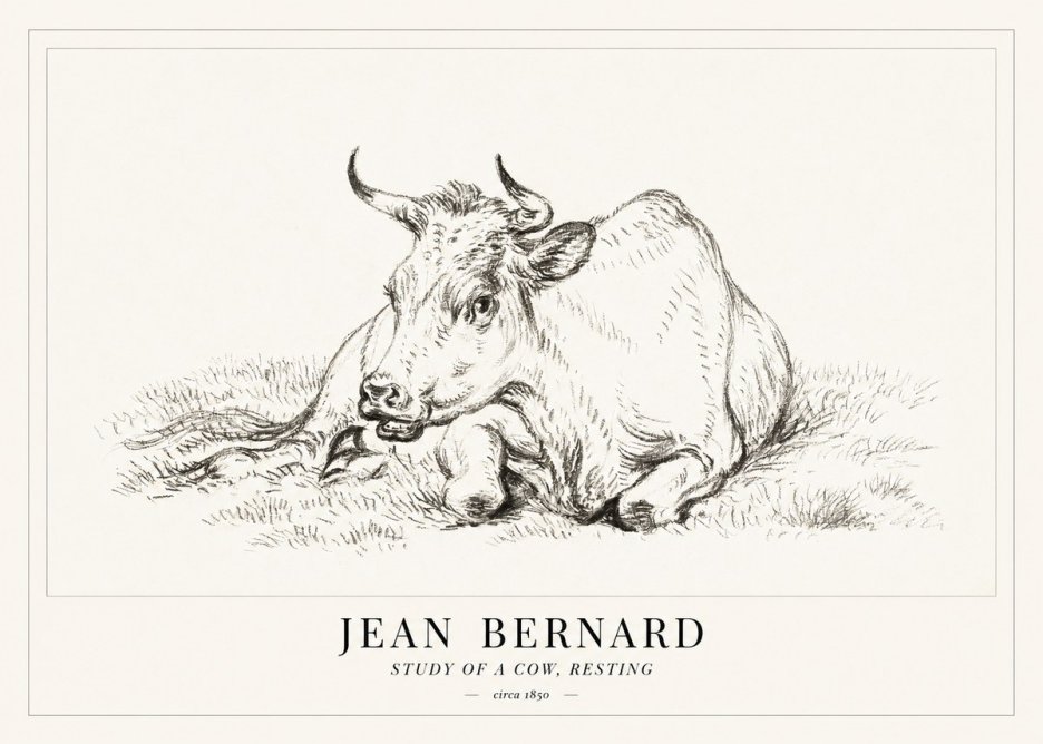 Jean Bernard Study of a Cow, Resting No1 - Poszter