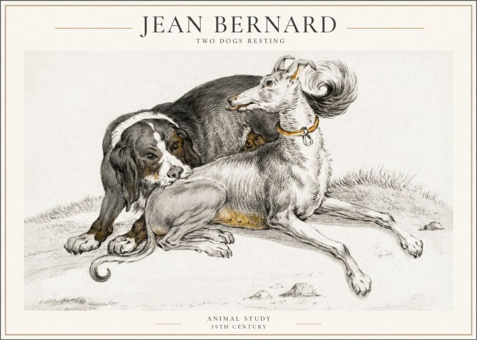 Jean Bernard Two Dogs Resting No4 - Poszter