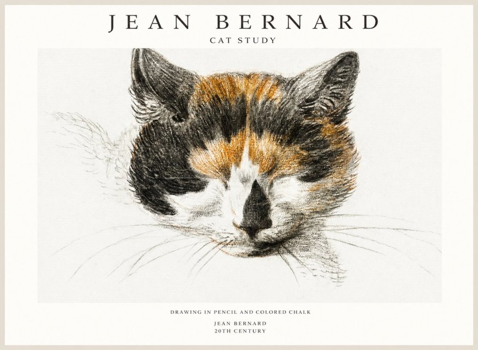 Jean Bernard Cat Study VIII No1 - Poszter