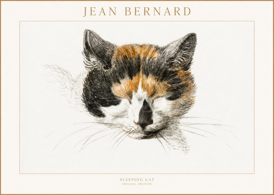 Jean Bernard Cat Study VIII No4 - Poszter