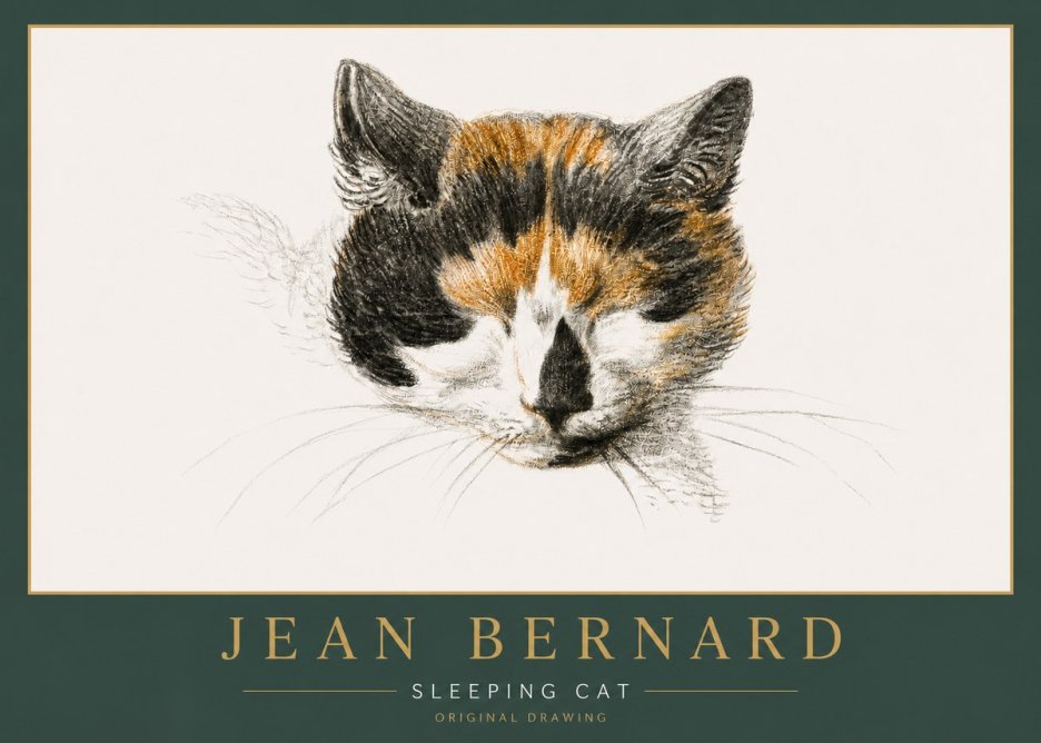 Jean Bernard Cat Study VIII No6 - Poszter