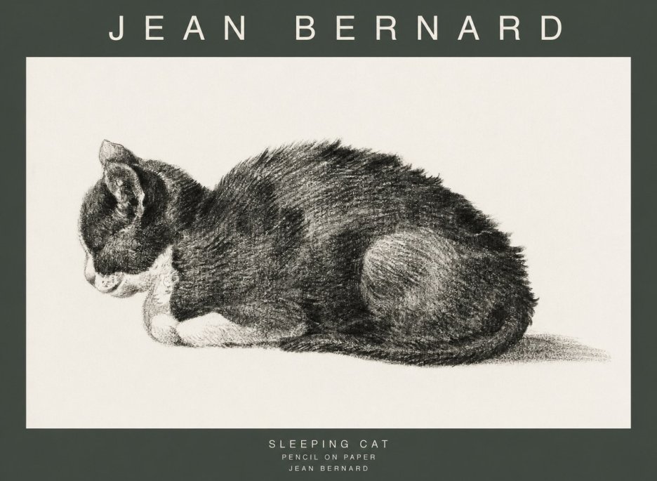 Jean Bernard Sleeping Cat VII No1 - Poszter