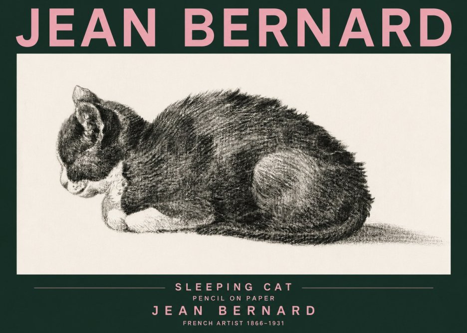 Jean Bernard Sleeping Cat VII No3 - Poszter