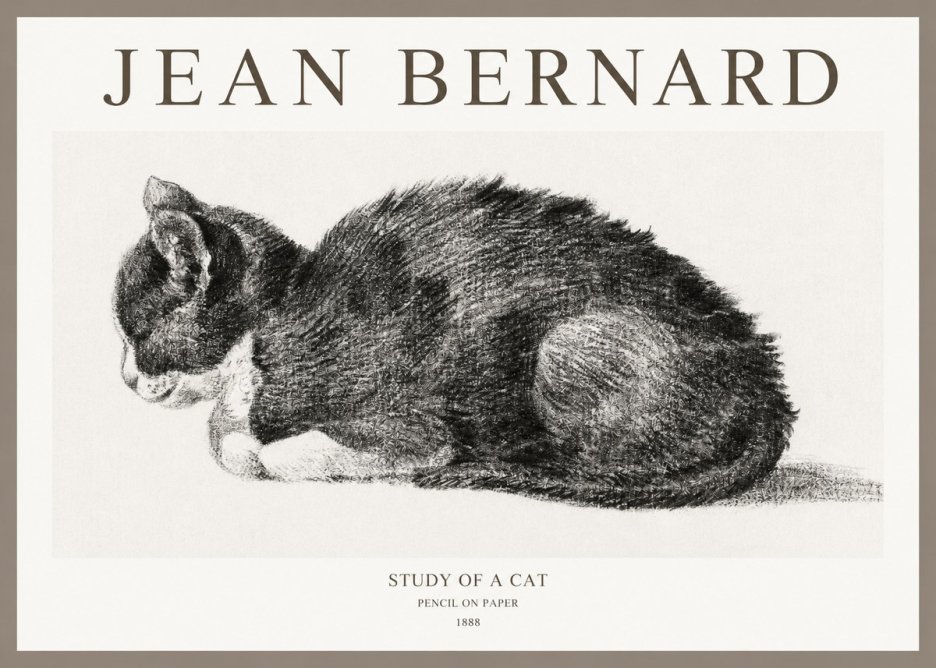 Jean Bernard Sleeping Cat VII No6 - Poszter