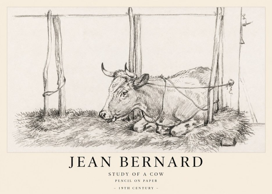 Jean Bernard A Resting Cow No2 - Poszter