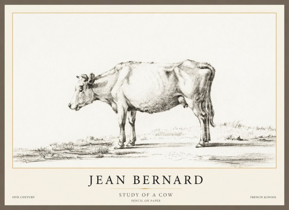 Jean Bernard Study of a Cow XI No1 - Poszter
