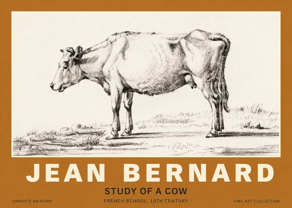 Jean Bernard Study of a Cow XI No3 - Poszter