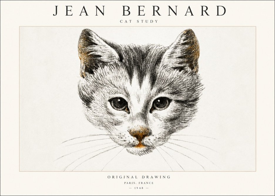 Jean Bernard Cat Study IX No6 - Poszter