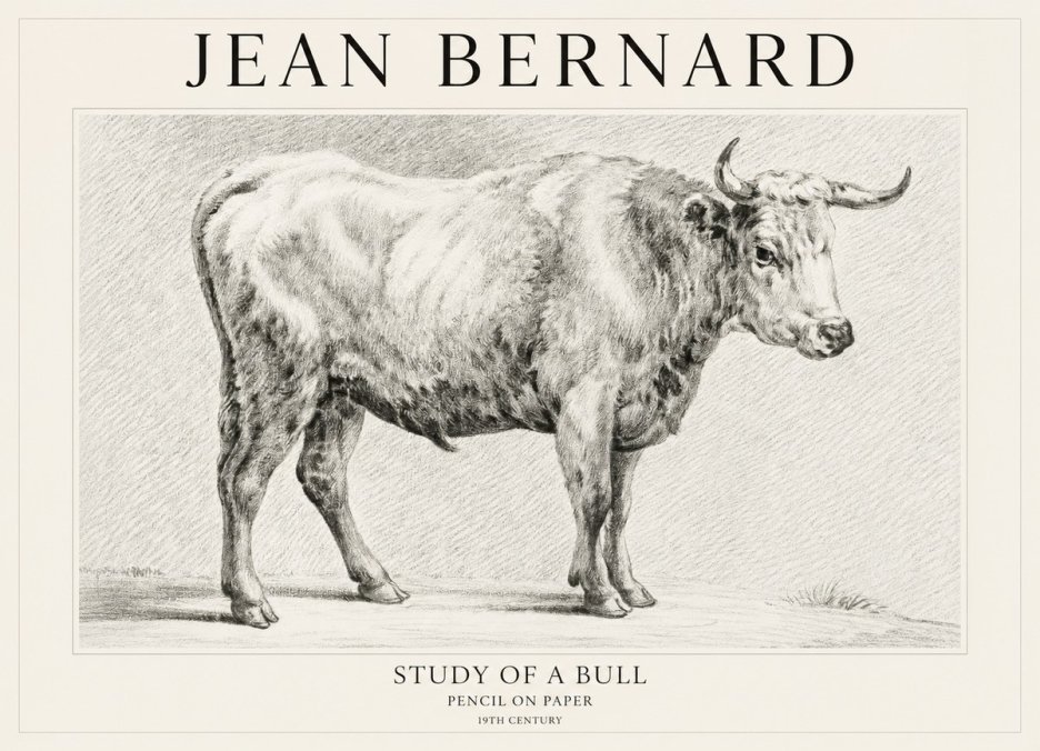 Jean Bernard Study of a Bull IV No1 - Poszter