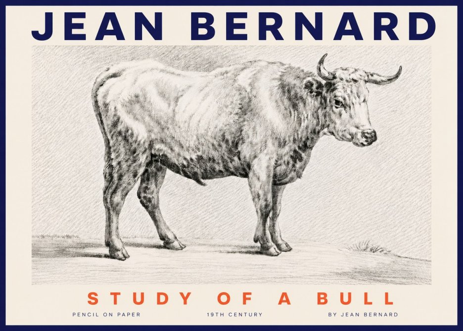 Jean Bernard Study of a Bull IV No4 - Poszter