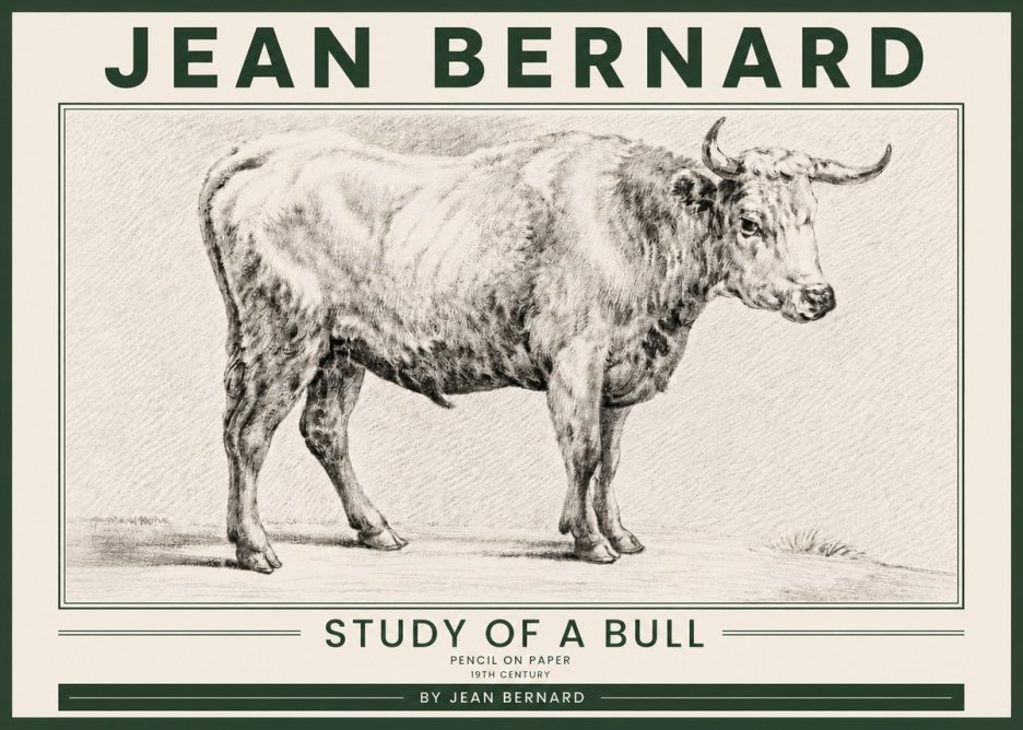 Jean Bernard Study of a Bull IV No5 - Poszter
