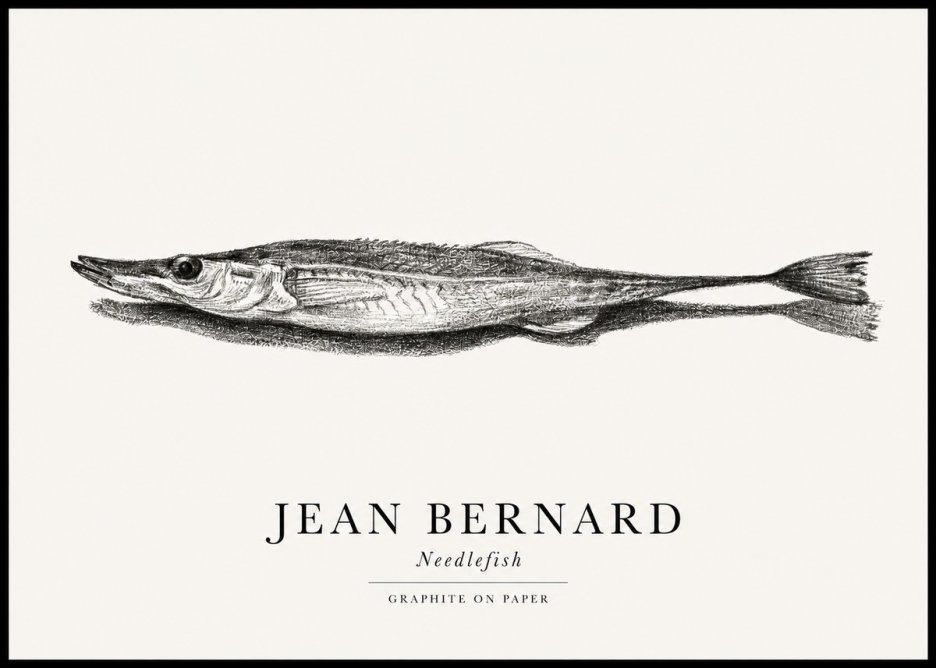 Jean Bernard Needlefish No1 - Poszter