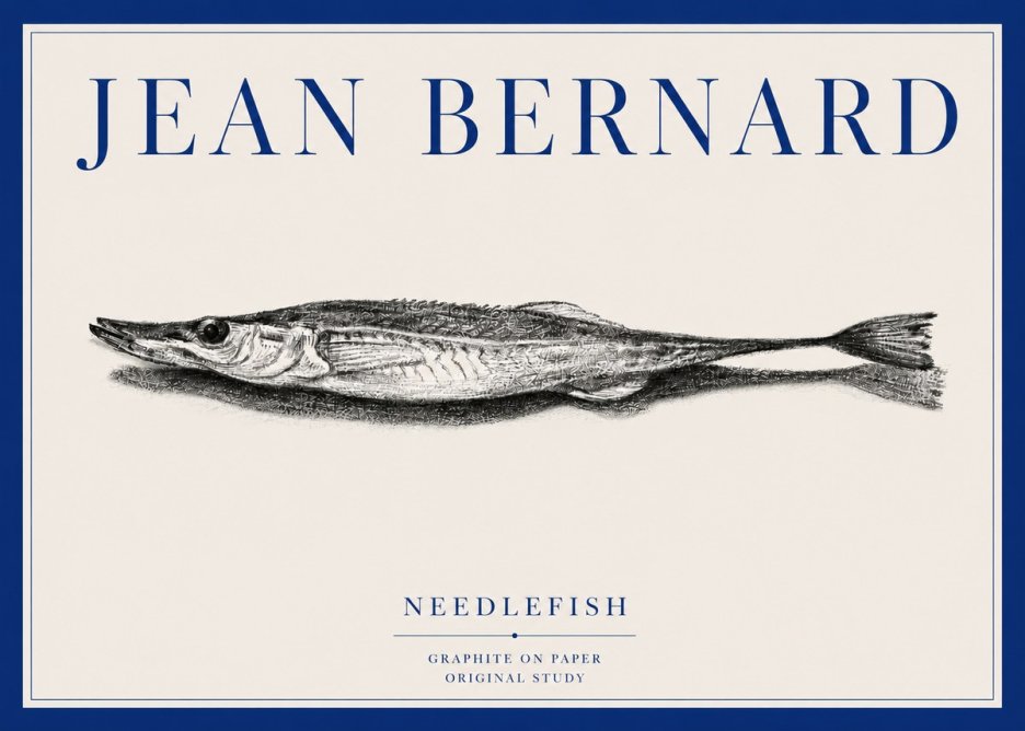 Jean Bernard Needlefish No3 - Poszter