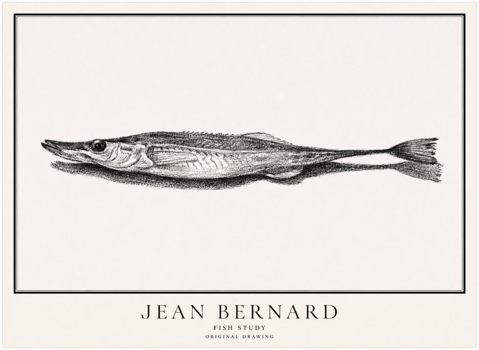 Jean Bernard Needlefish No5 - Poszter