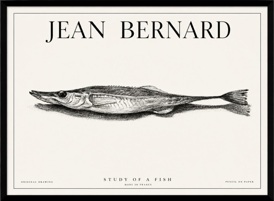 Jean Bernard Needlefish No6 - Poszter
