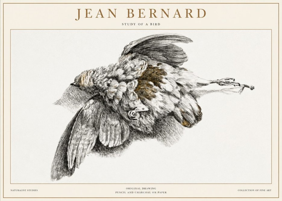 Jean Bernard Study of a Bird III No1 - Poszter