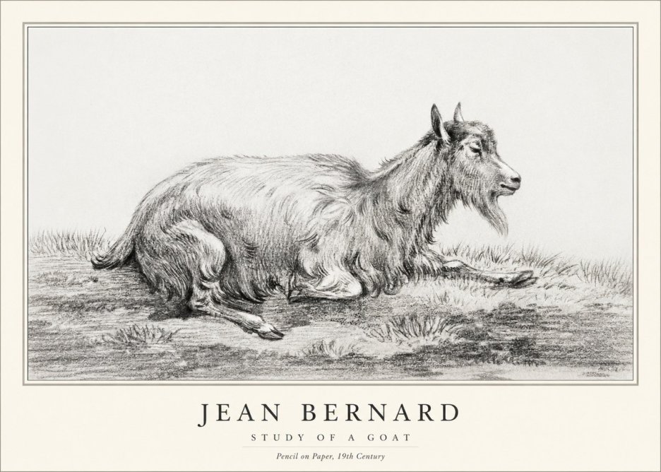 Jean Bernard Study of a Goat V No1 - Poszter