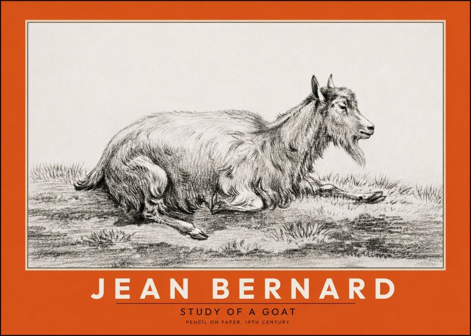 Jean Bernard Study of a Goat V No2 - Poszter