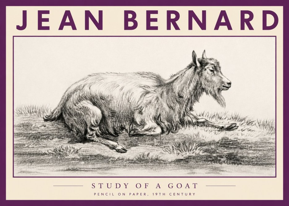 Jean Bernard Study of a Goat V No3 - Poszter