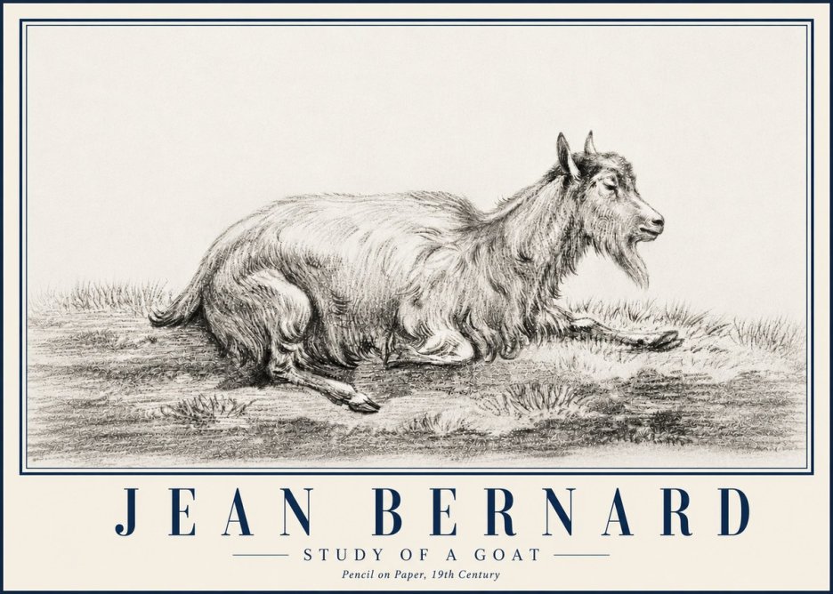 Jean Bernard Study of a Goat V No5 - Poszter