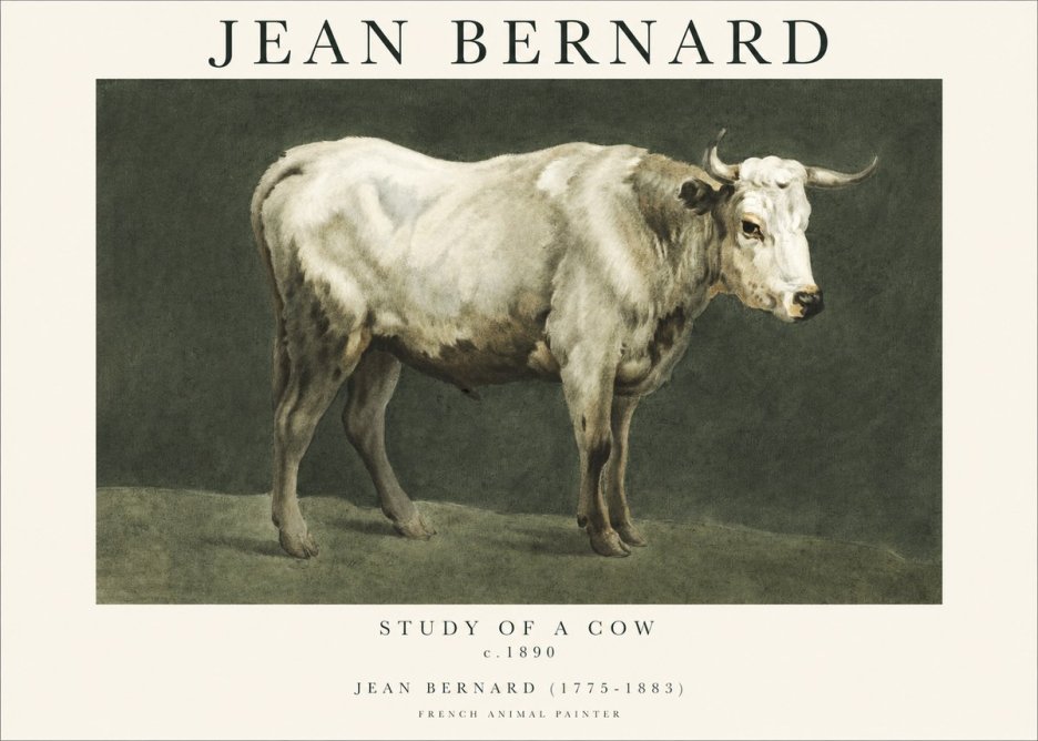 Jean Bernard Study of a Cow C. 1890 No1 - Poszter