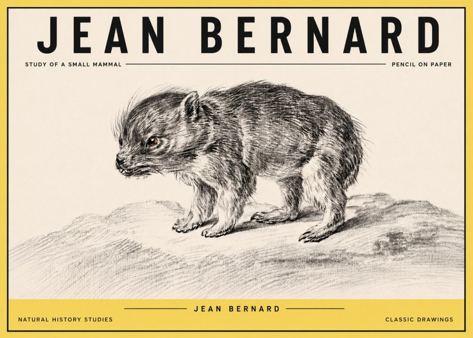 Jean Bernard Study of a Small Mammal No4 - Poszter