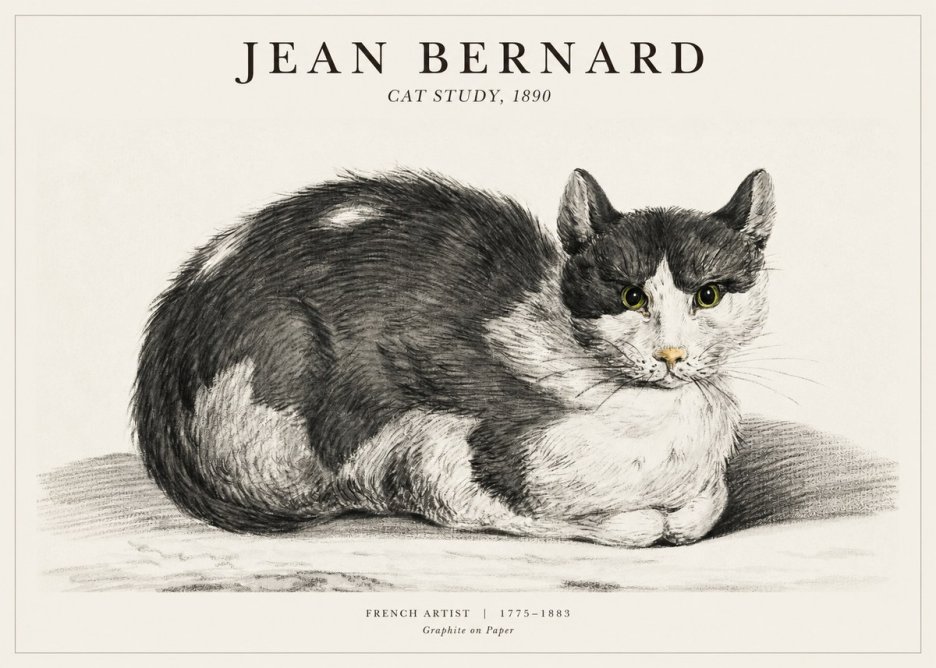 Jean Bernard Cat Resting No3 - Poszter