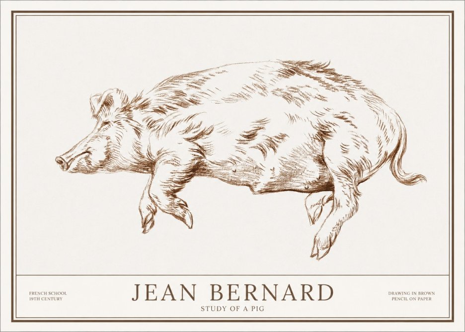 Jean Bernard Study of a Pig II No1 - Poszter