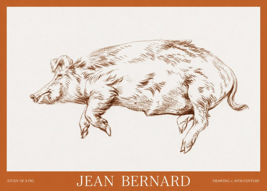 Jean Bernard Study of a Pig II No6 - Poszter