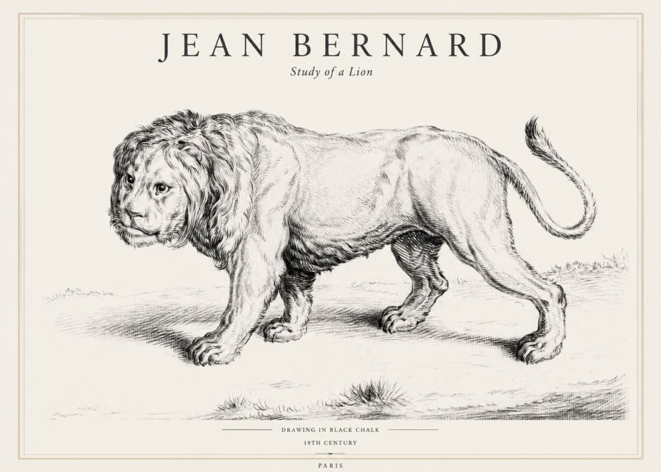 Jean Bernard Study of a Lion II No1 - Poszter