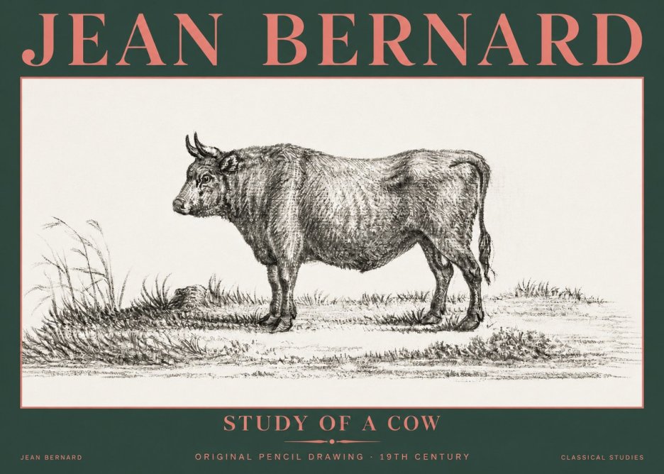Jean Bernard Study of a Cow XIII No5 - Poszter