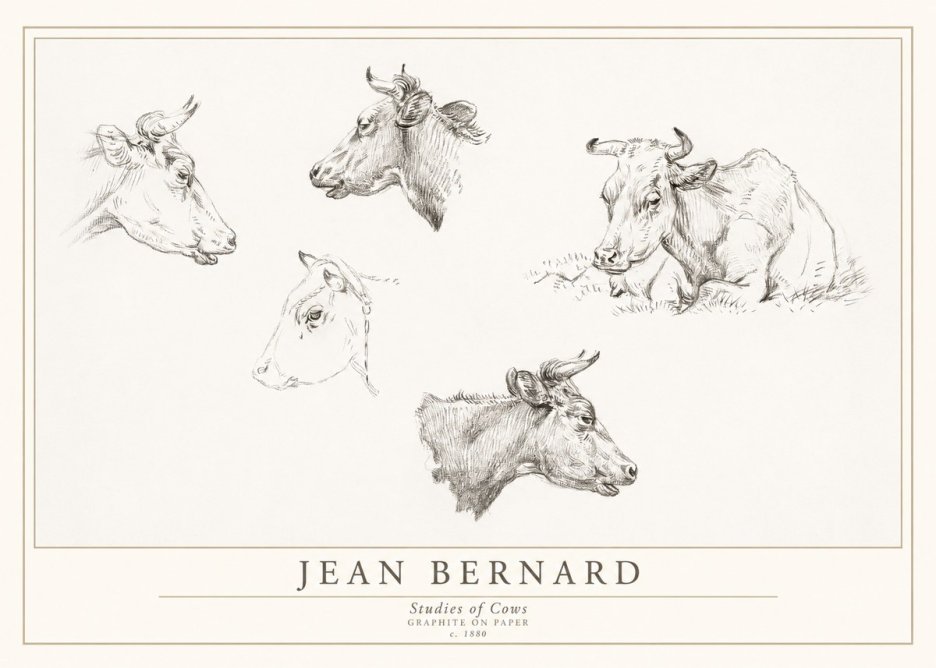 Jean Bernard Studies of Cows I No1 - Poszter