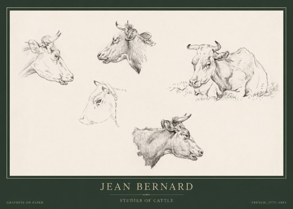 Jean Bernard Studies of Cows I No5 - Poszter