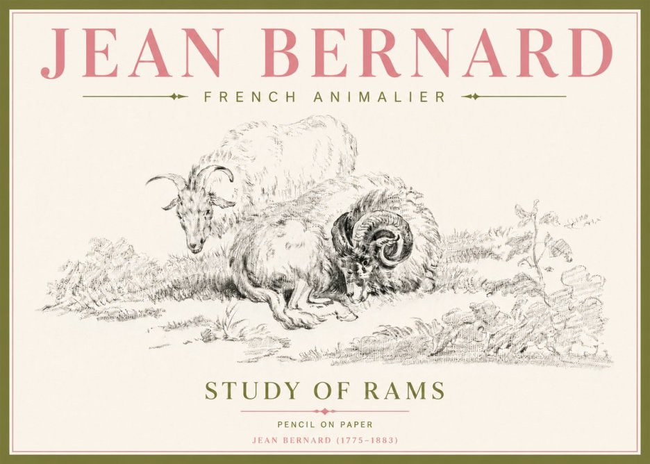 Jean Bernard Study of Sheep No5 - Poszter