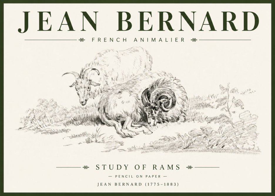 Jean Bernard Study of Sheep No6 - Poszter