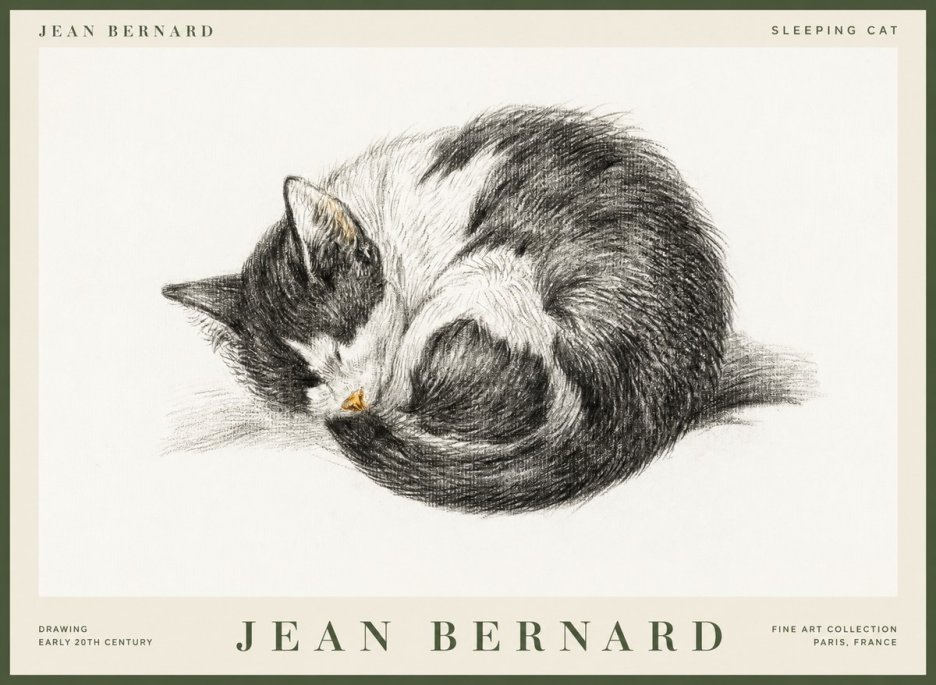 Jean Bernard Sleeping Cat VIII No1 - Poszter