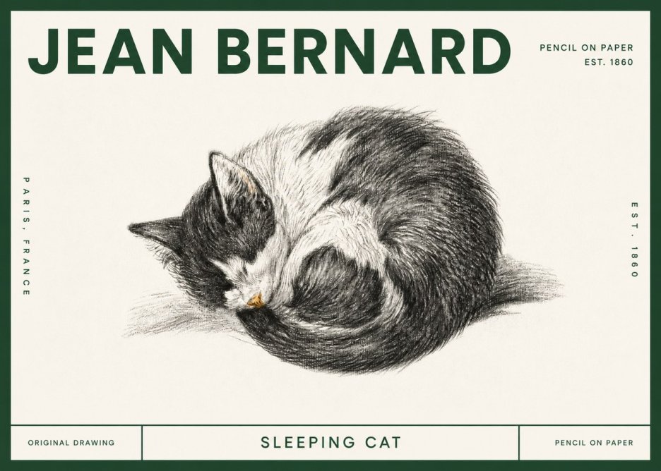 Jean Bernard Sleeping Cat VIII No4 - Poszter