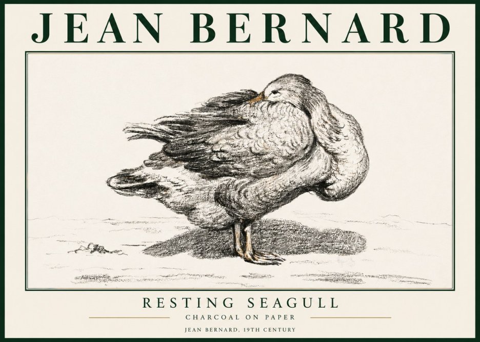 Jean Bernard Resting Seagull No3 - Poszter
