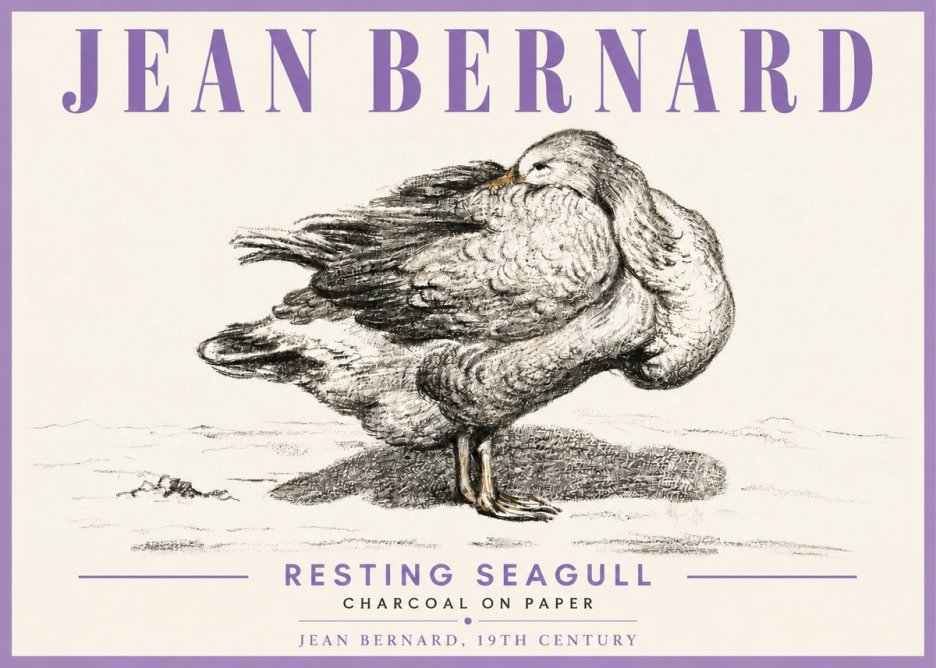 Jean Bernard Resting Seagull No6 - Poszter
