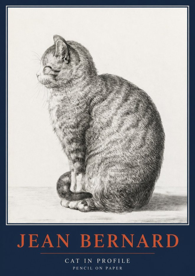 Jean Bernard Cat in Profile No2 - Poszter