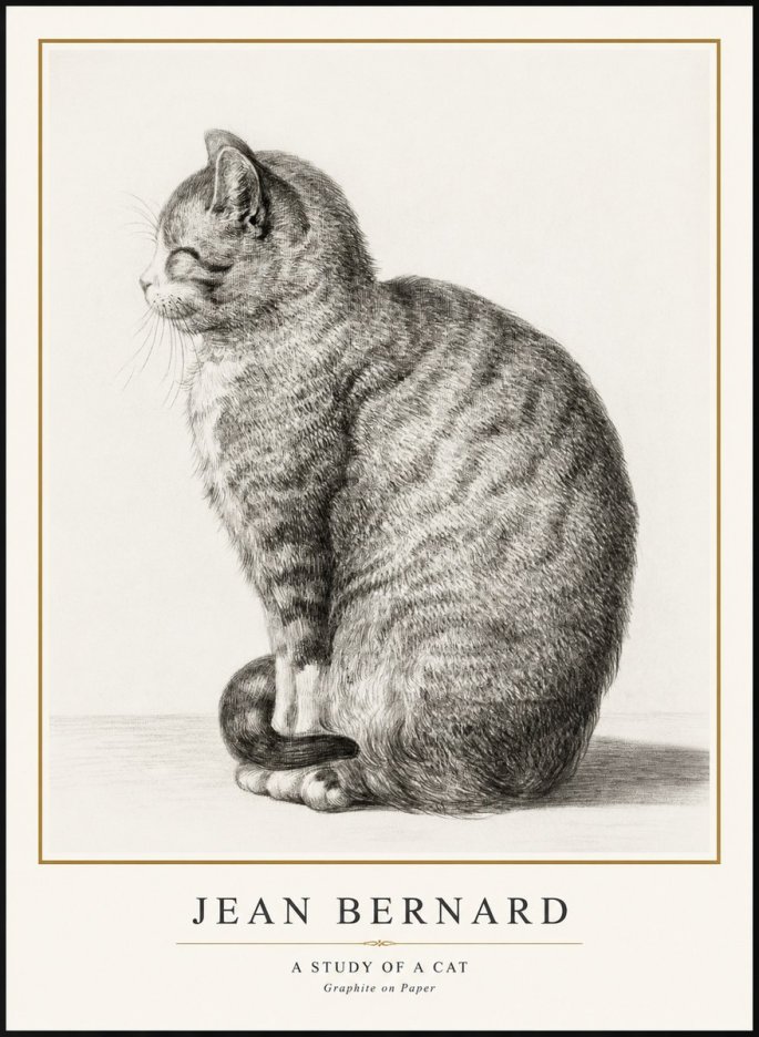 Jean Bernard Cat in Profile No3 - Poszter